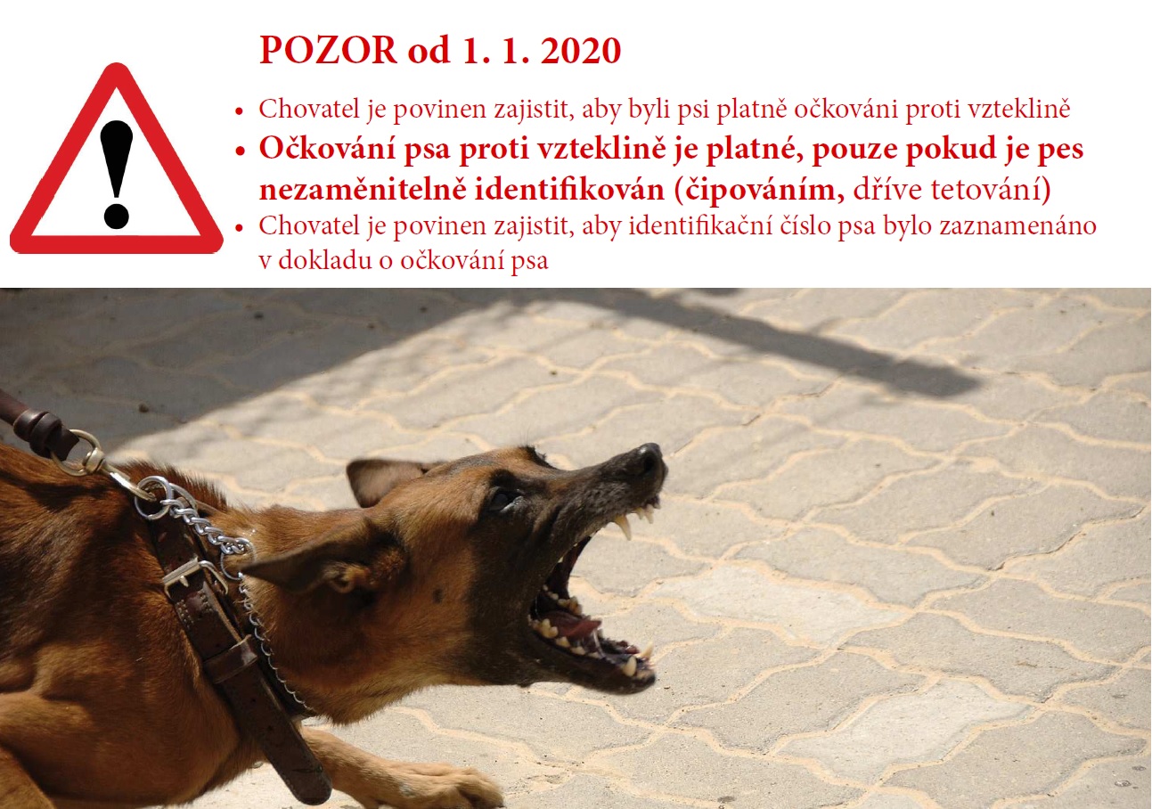 Čipování psů 2020.jpg